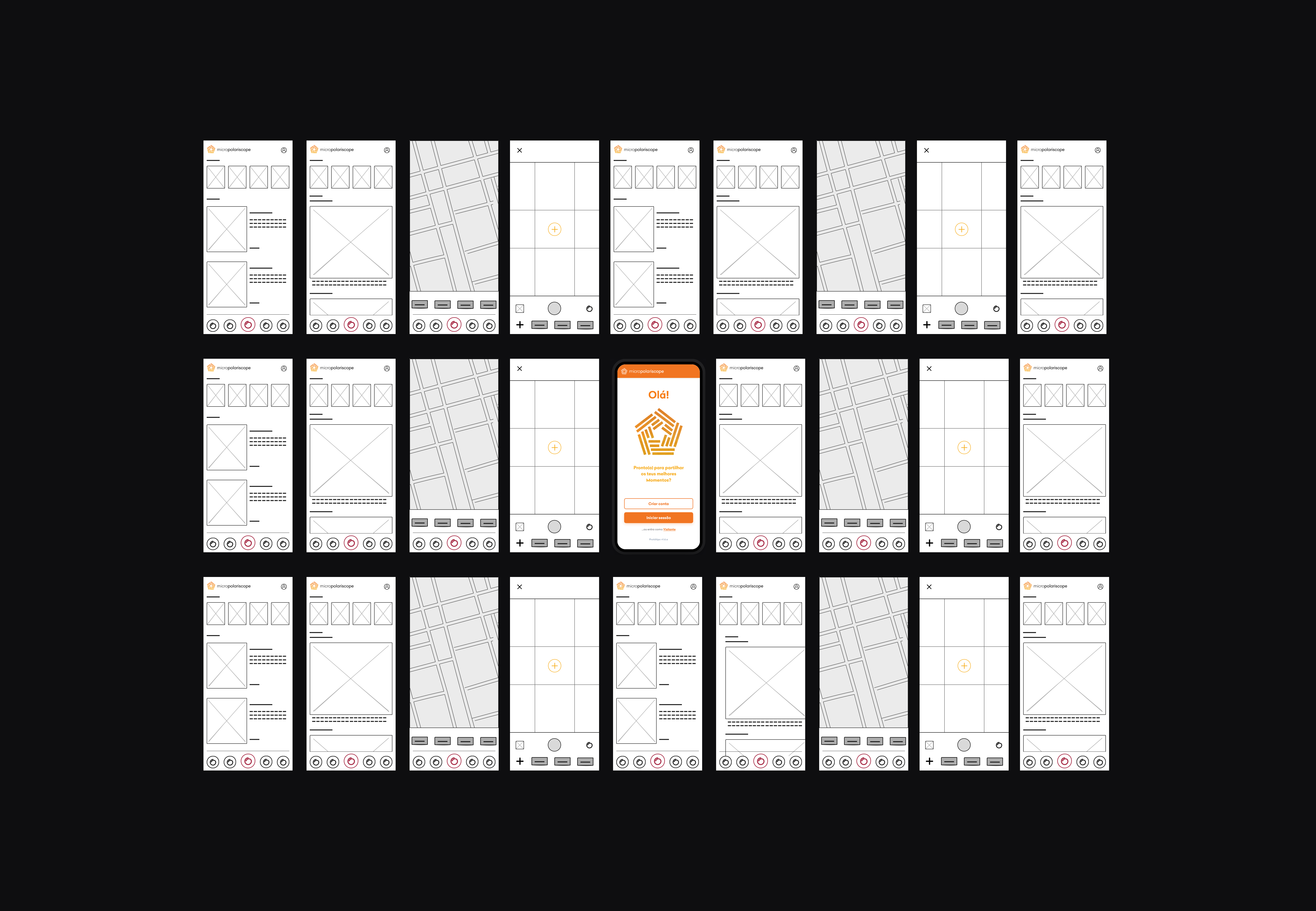 Micropolariscope Web Development Preview